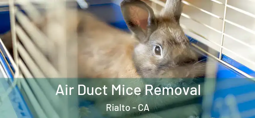  Air Duct Mice Removal Rialto - CA