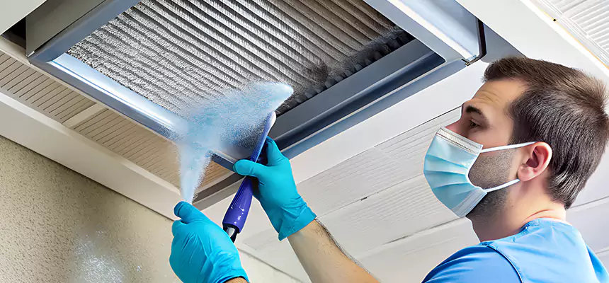 Proactive Dryer Vent & Auxiliary Duct Pollen Cleanup in Rialto, CA