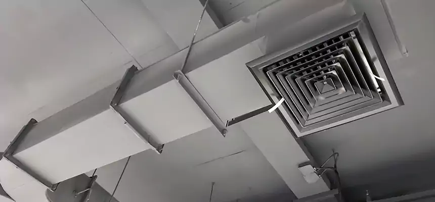 Restorative Allergy Relief Vent Cleaning – Coil, Blower & Housing Detail in Rialto