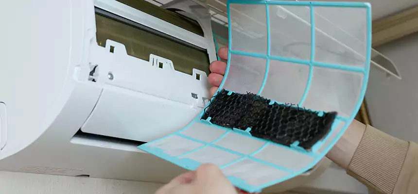 Gentle Ductwork Odor-Control Pet Dander Duct Cleaning in Rialto, CA