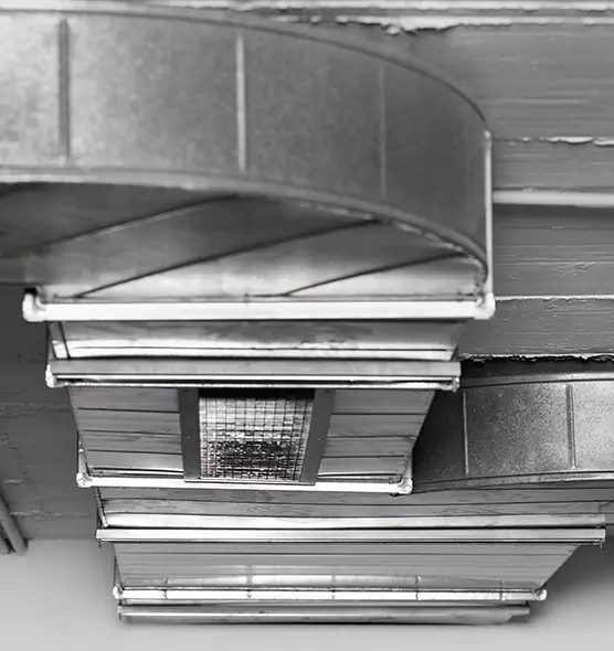 Professional Air Duct Pest Removal in Rialto, CA