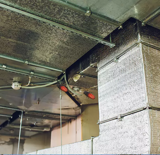 Why Homeowners & Businesses Trust Us in Rialto, CA?