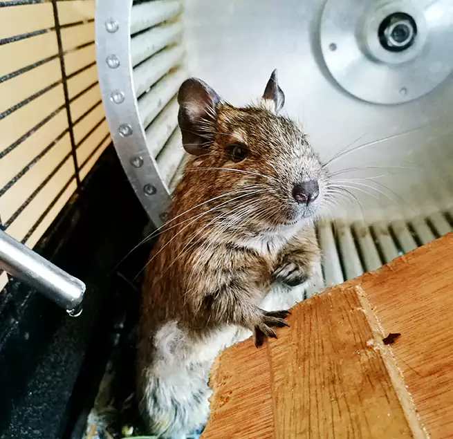 Why Homeowners & Businesses Trust Us Rialto, CA