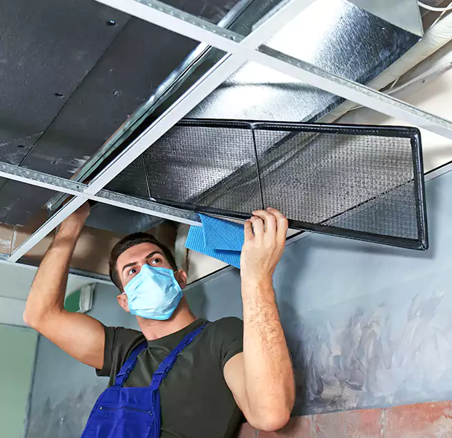 Why Homeowners Businesses Trust Us in Rialto, CA