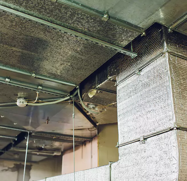 Why Homeowners & Businesses Trust Us in Rialto, CA?